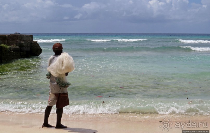 Старик и море