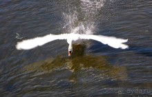 Прогулки по Кэстлтауну — первой столице острова Мэн (Британская корона)