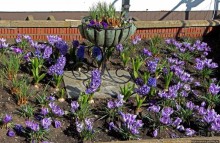 Прогулки по Кэстлтауну — первой столице острова Мэн (Британская корона)