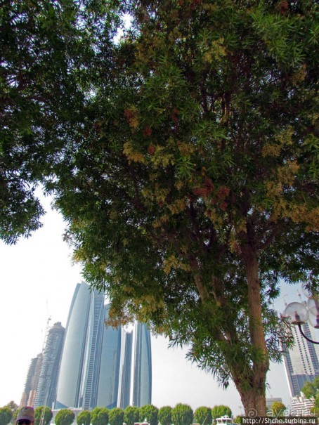 Яхт-клуб "рабочих и крестьян"