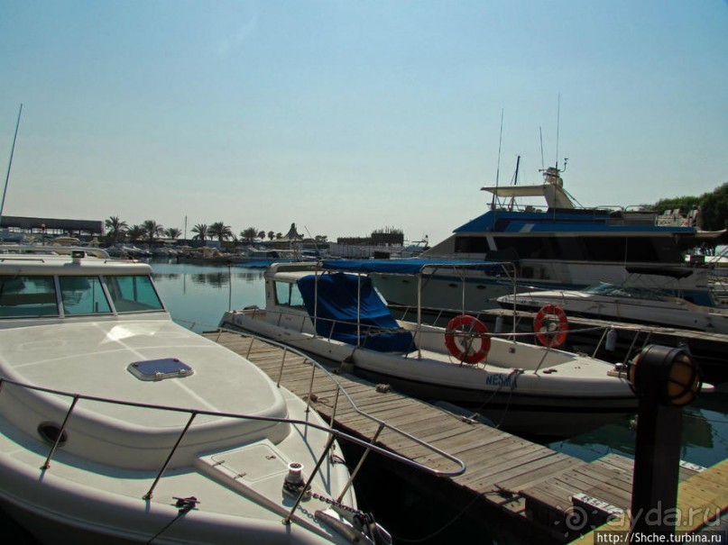 Яхт-клуб "рабочих и крестьян"