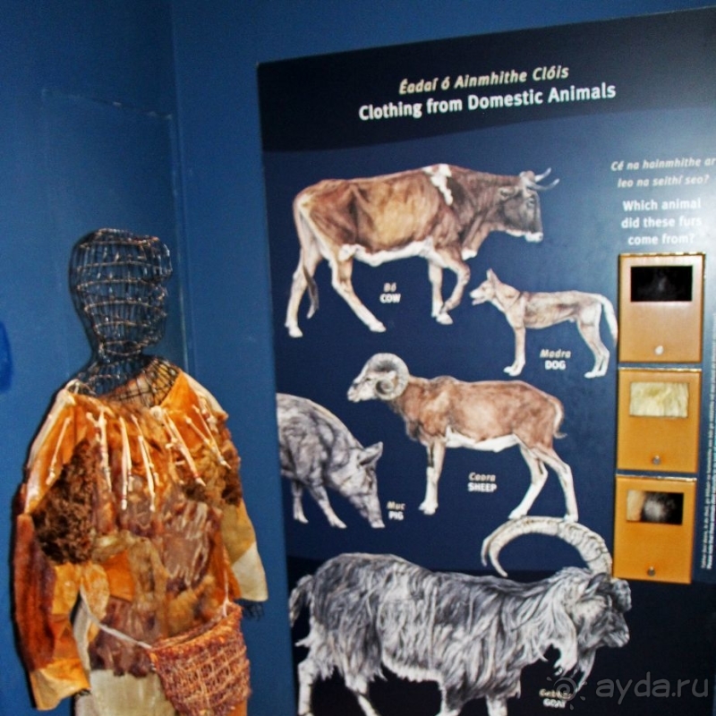 Музей Бру-на-Бойн — хороший способ скоротать время