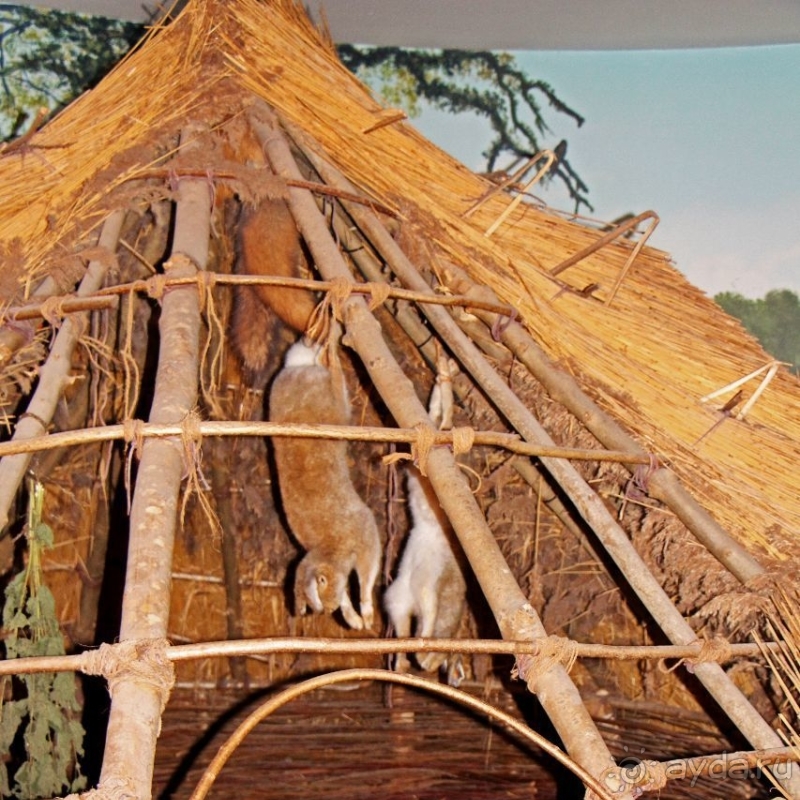 Музей Бру-на-Бойн — хороший способ скоротать время