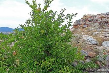 Для любителей настоящего. Византийская крепость Иссари