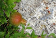 Для любителей настоящего. Византийская крепость Иссари