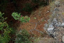 Для любителей настоящего. Византийская крепость Иссари