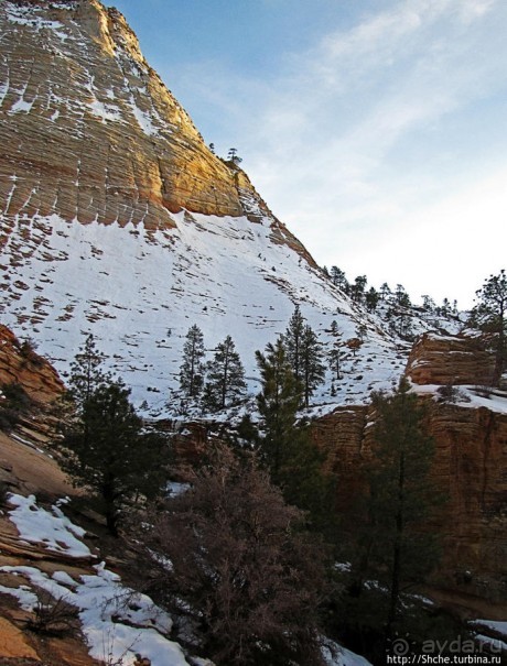 Зион. "Сквозной" маршрут по Zion-Mount Carmel Highway