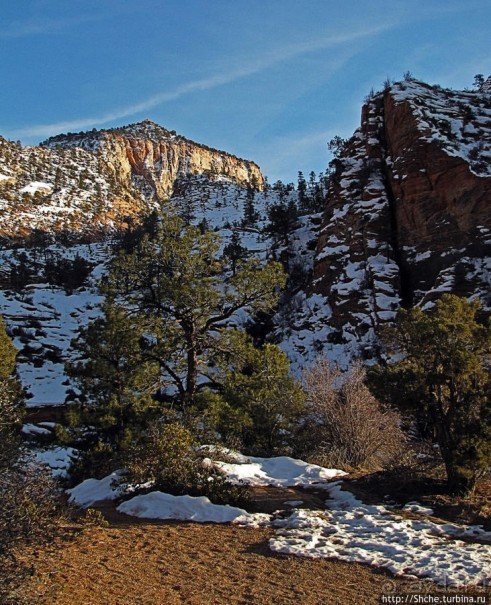 Зион. "Сквозной" маршрут по Zion-Mount Carmel Highway