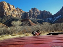 Зион. "Сквозной" маршрут по Zion-Mount Carmel Highway