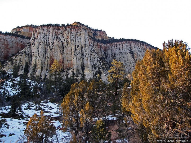 Зион. "Сквозной" маршрут по Zion-Mount Carmel Highway