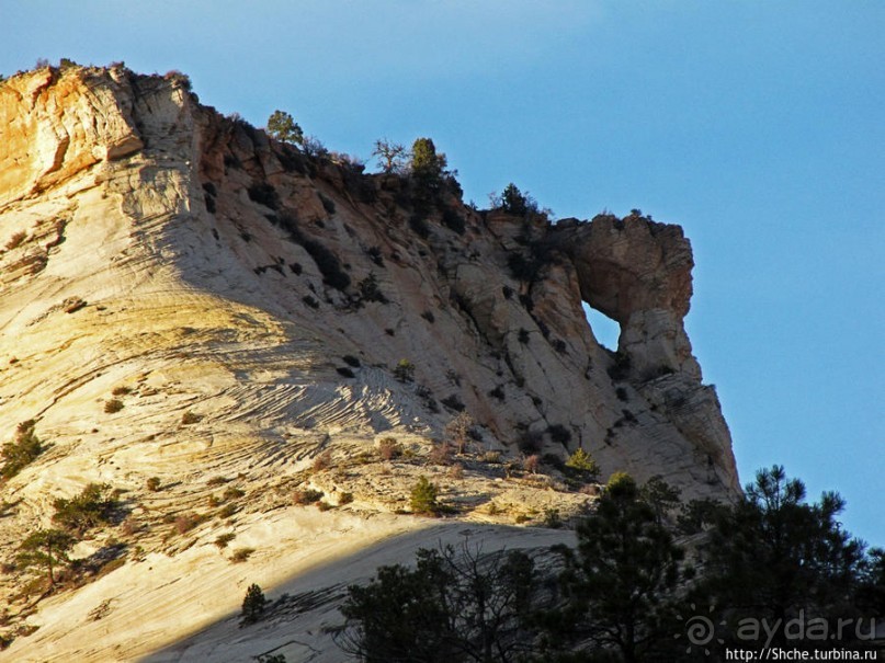Зион. "Сквозной" маршрут по Zion-Mount Carmel Highway