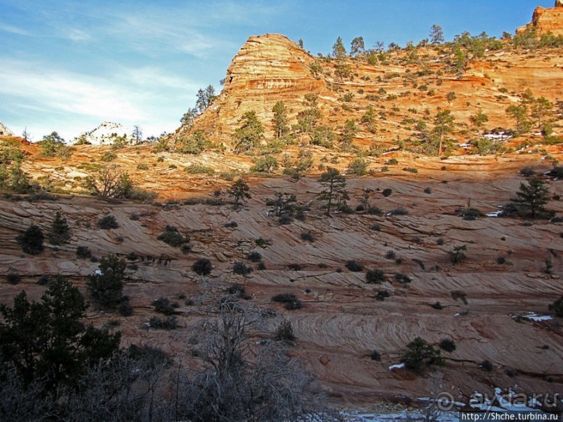 Зион. "Сквозной" маршрут по Zion-Mount Carmel Highway