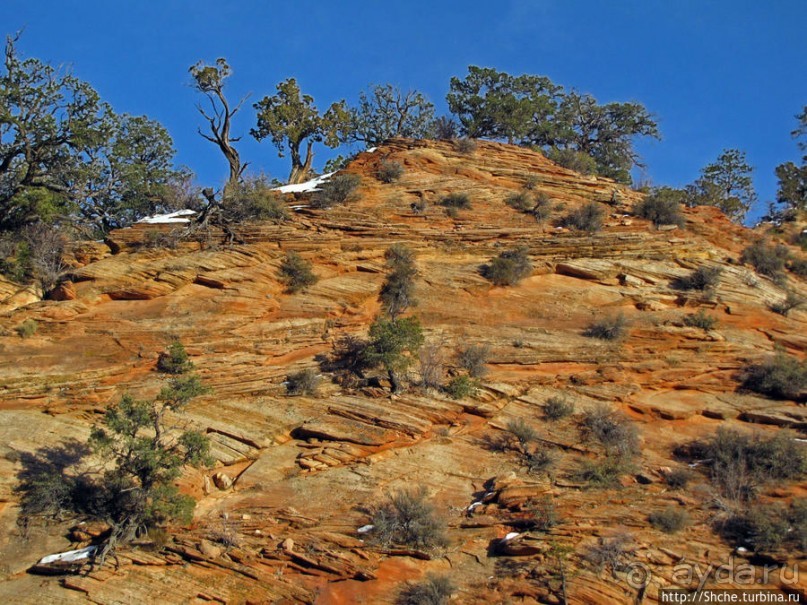 Зион. "Сквозной" маршрут по Zion-Mount Carmel Highway