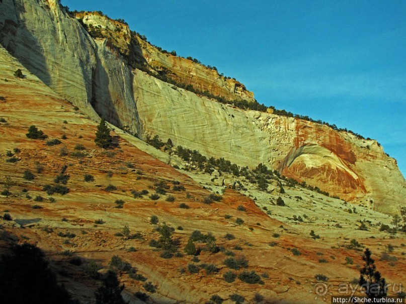 Зион. "Сквозной" маршрут по Zion-Mount Carmel Highway