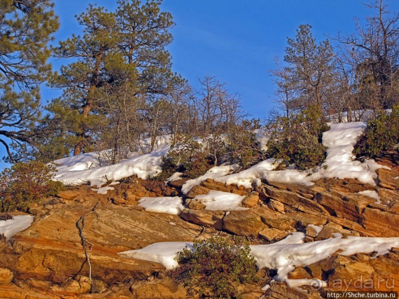 Зион. "Сквозной" маршрут по Zion-Mount Carmel Highway