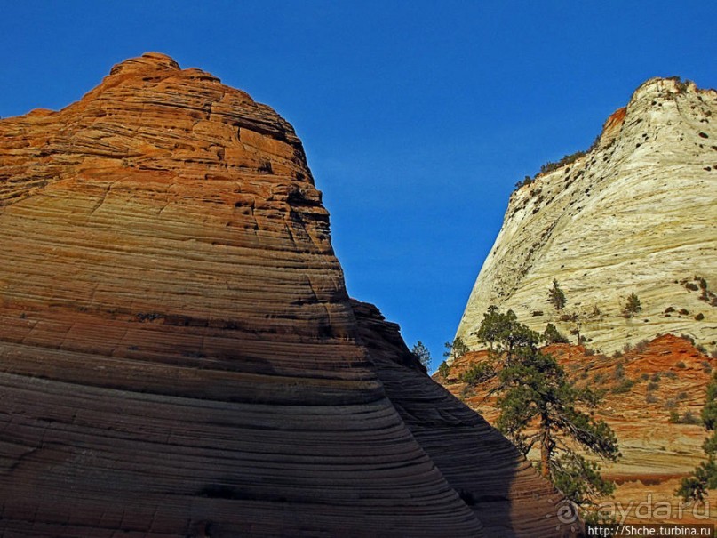 Зион. "Сквозной" маршрут по Zion-Mount Carmel Highway