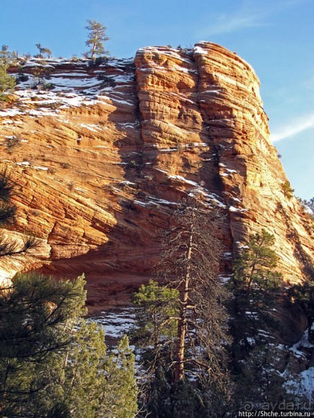 Зион. "Сквозной" маршрут по Zion-Mount Carmel Highway