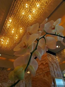 Обед в роскошном отеле "Интеркотиненталь"