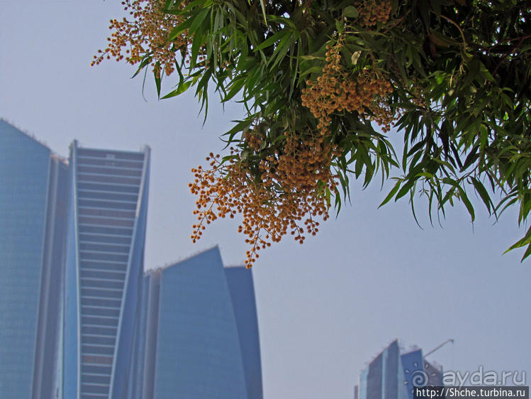 Обед в роскошном отеле "Интеркотиненталь"