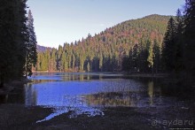 Озеро Синевир — возможно, самое красивое озеро Украины