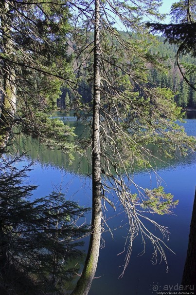 Озеро Синевир — возможно, самое красивое озеро Украины