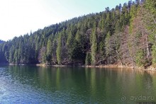 Озеро Синевир — возможно, самое красивое озеро Украины