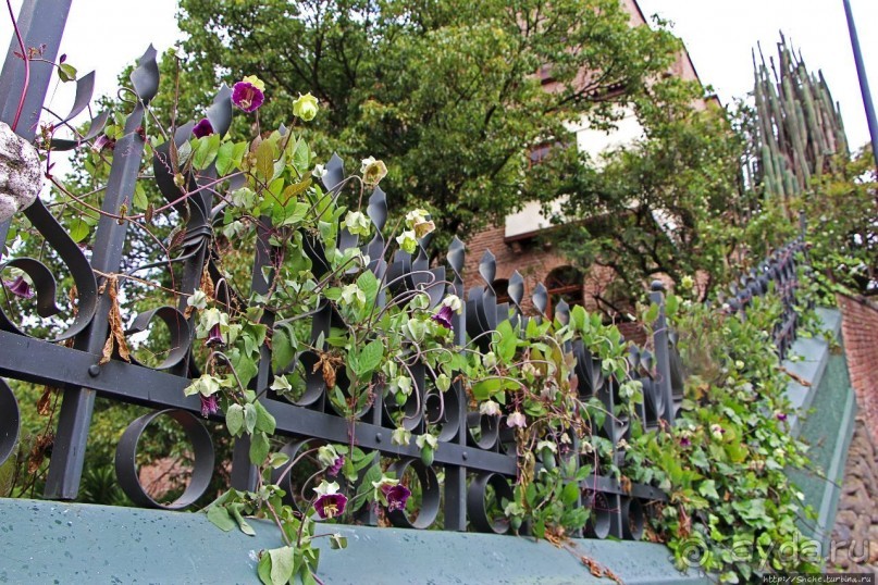 Сеньора Санта-Ана-де-лос-Риос-де-Куэнка