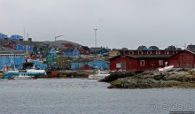 Киты налево, киты направо