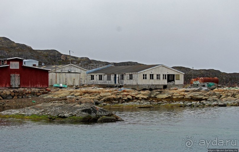 Киты налево, киты направо