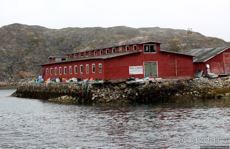 Киты налево, киты направо