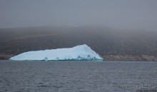 Киты налево, киты направо