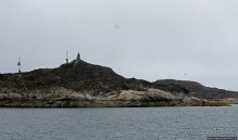 Киты налево, киты направо