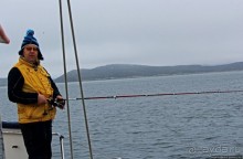 Киты налево, киты направо