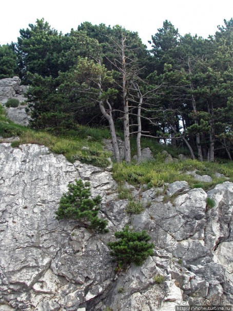 Черногорские картинки. Кто-то назвал эти горы "черные"