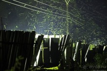 Ловля саранчи для еды