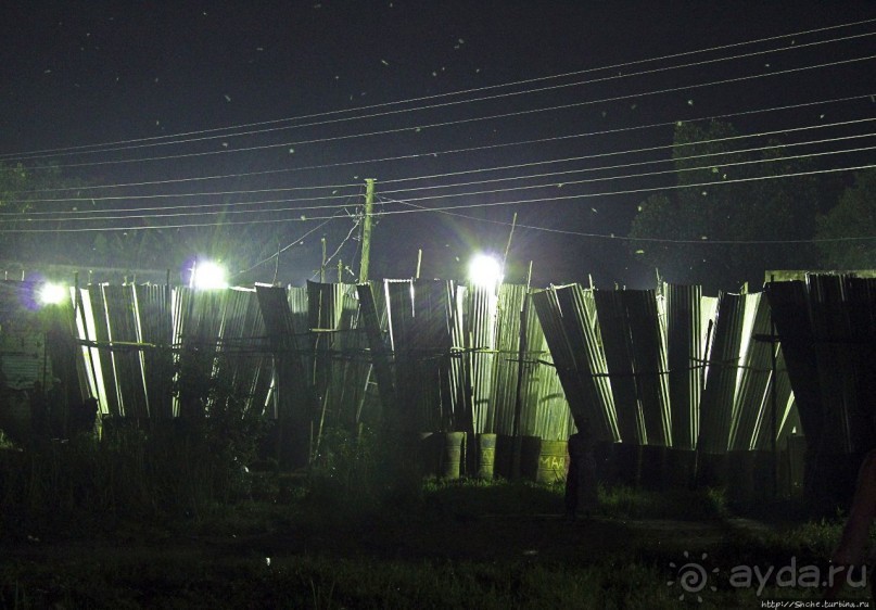 Ловля саранчи для еды