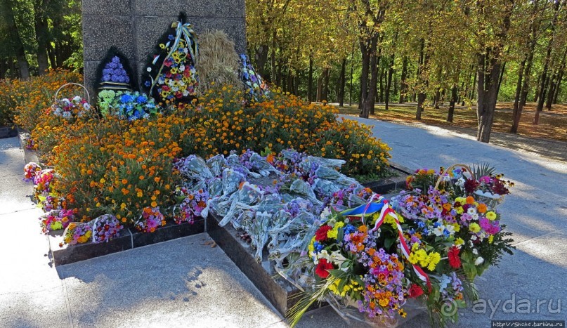 Здесь и видно, здесь и слышно как ревет ревущий