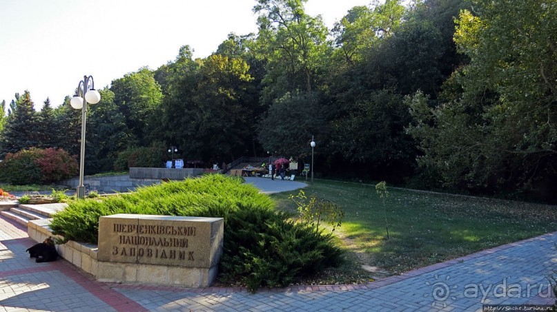 Здесь и видно, здесь и слышно как ревет ревущий