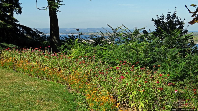 Здесь и видно, здесь и слышно как ревет ревущий