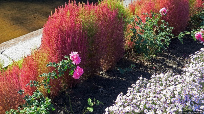 Здесь и видно, здесь и слышно как ревет ревущий