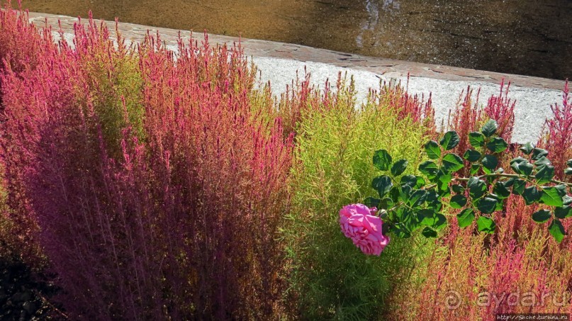 Здесь и видно, здесь и слышно как ревет ревущий