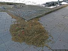 Предзимнее настроение Батумского порта