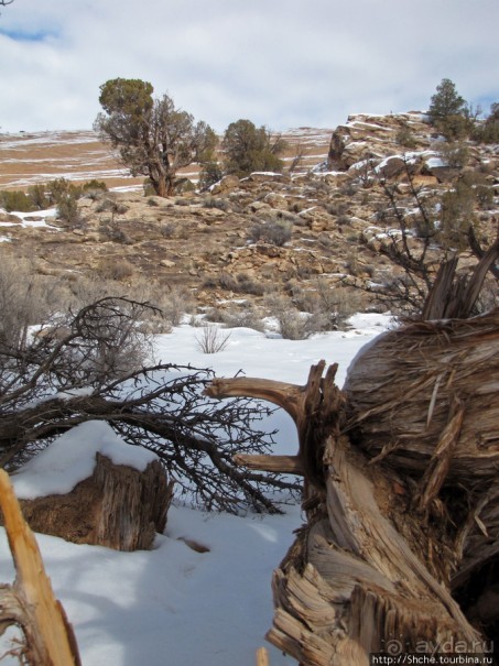 Ballanced Rock. Что еще можно увидеть не отходя от авто.