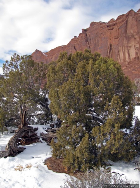 Ballanced Rock. Что еще можно увидеть не отходя от авто.