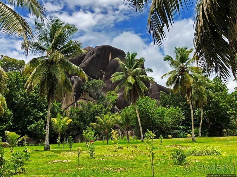 Сейшельские гигантские черепахи на ферме на Ла Диге 