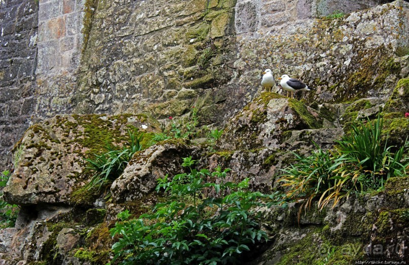 Аббатство св. Михаила — художественный и инженерный шедевр
