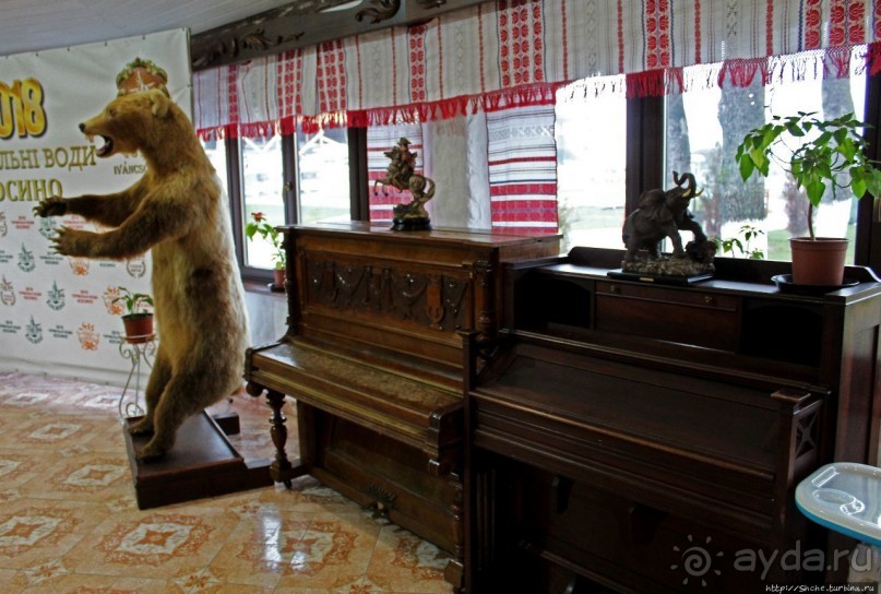 "Косино" — пожалуй, лучший термальный комплекс в Украине