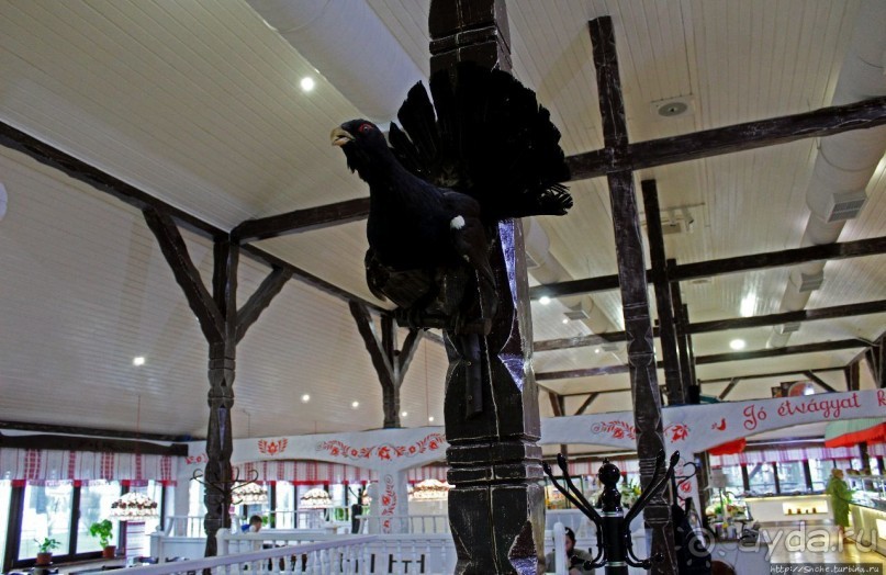 "Косино" — пожалуй, лучший термальный комплекс в Украине