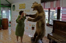 "Косино" — пожалуй, лучший термальный комплекс в Украине