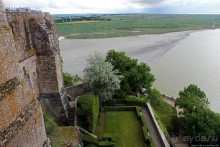 Красавица, что манит близостью и дразнит недоступностью